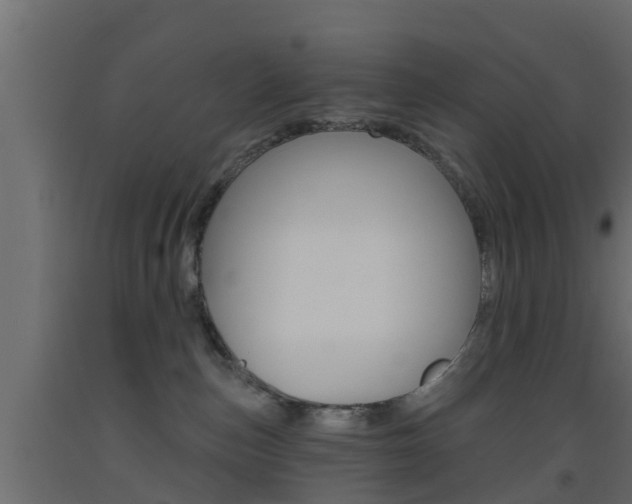 X0000093500187200710121051