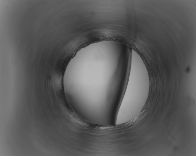 X0000093500188200710121051