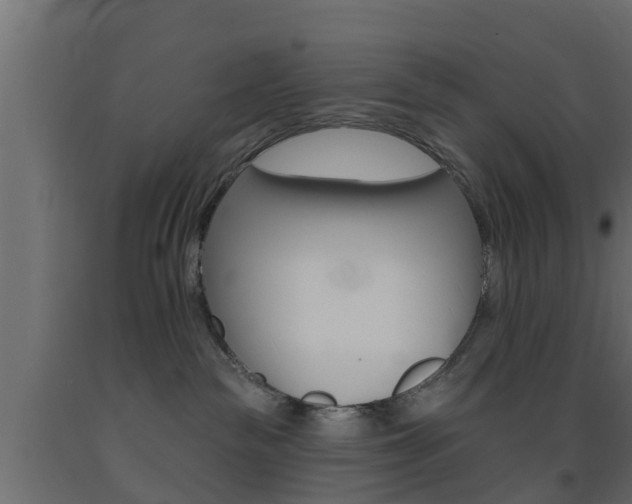 X0000093500189200710121051