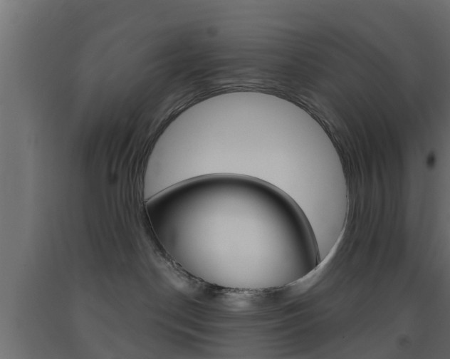X0000093500190200710121051