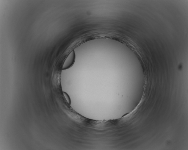 X0000093500191200710121051