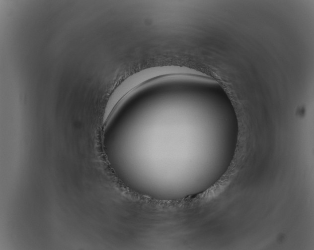 X0000093500192200710121051
