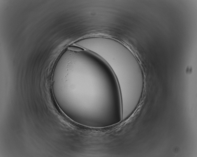 X0000093500193200710121050