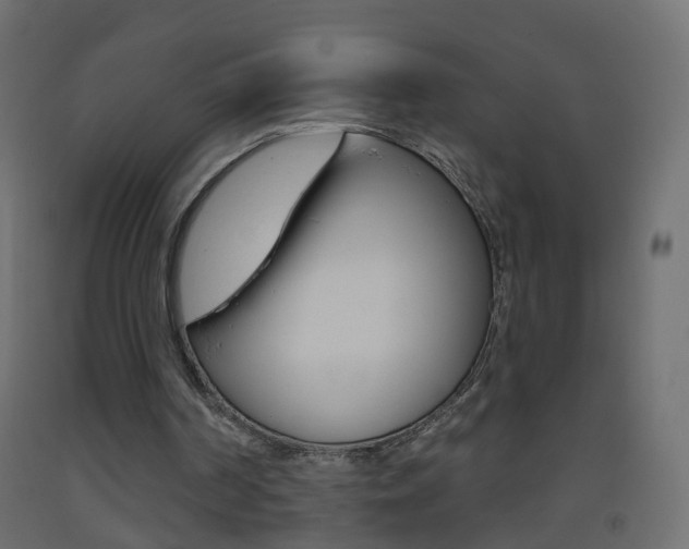 X0000093500194200710121050