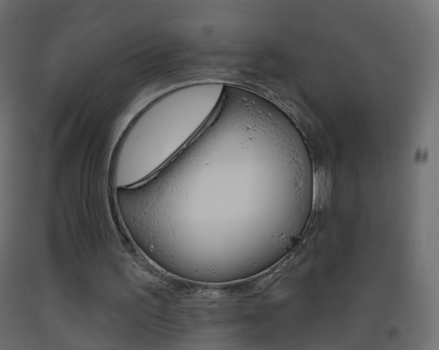 X0000093500195200710121050