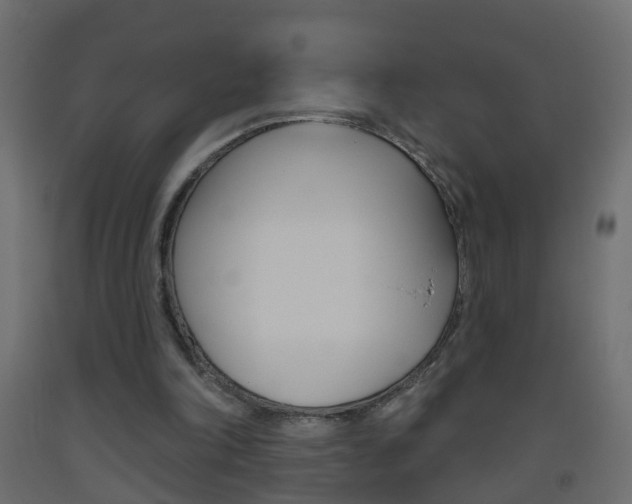 X0000093500198200710121050