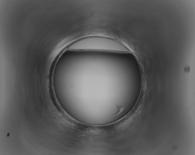 X0000093500199200710121050