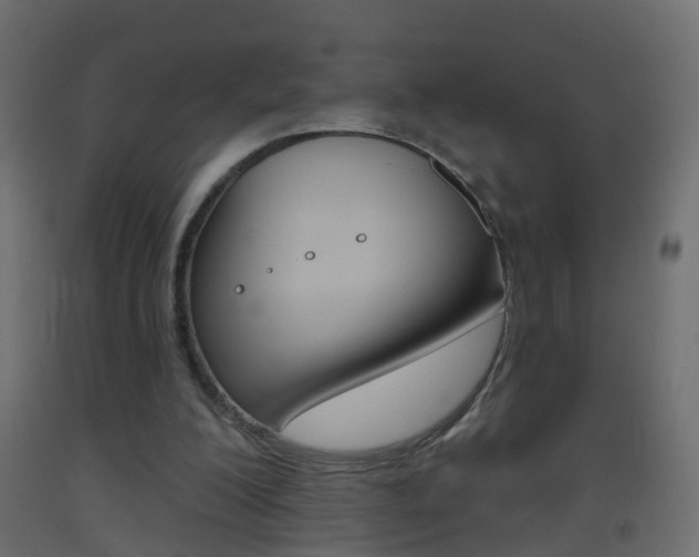 X0000093500200200710121050