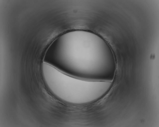 X0000093500201200710121050