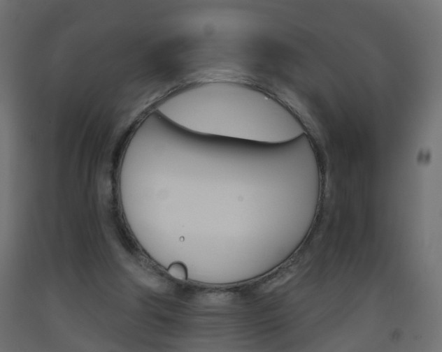 X0000093500202200710121050