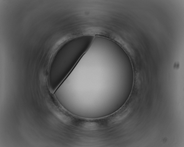 X0000093500203200710121050