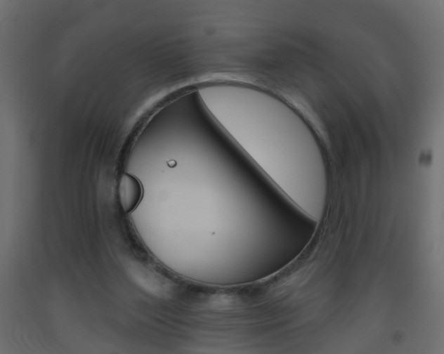 X0000093500204200710121050