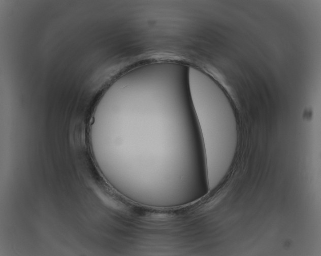 X0000093500205200710121050