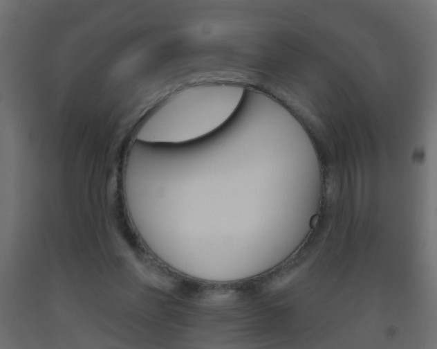 X0000093500206200710121050