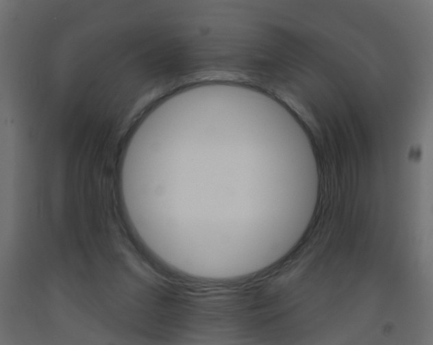 X0000093500207200710121050