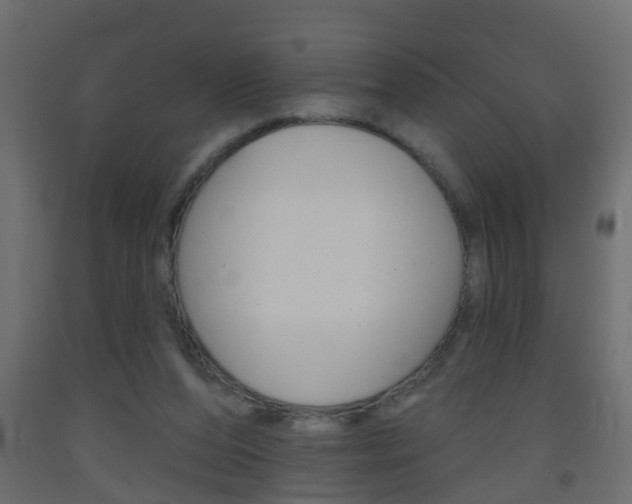 X0000093500208200710121050