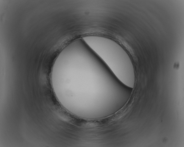 X0000093500209200710121050
