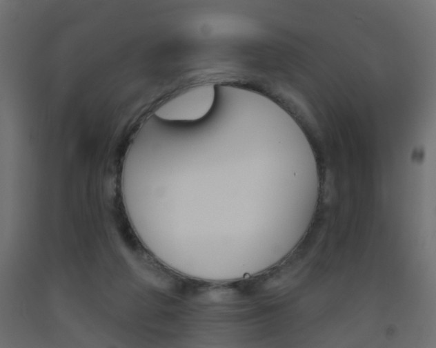 X0000093500210200710121050