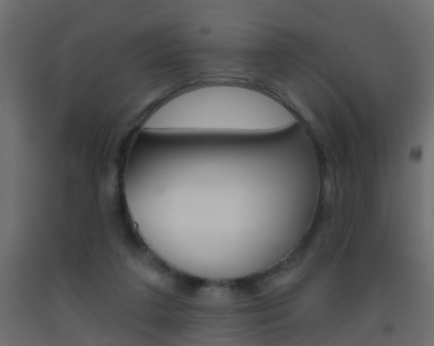 X0000093500211200710121050