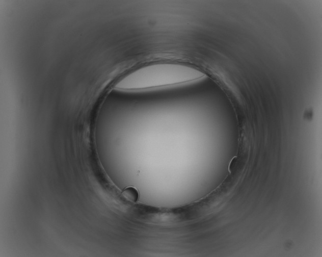 X0000093500212200710121050