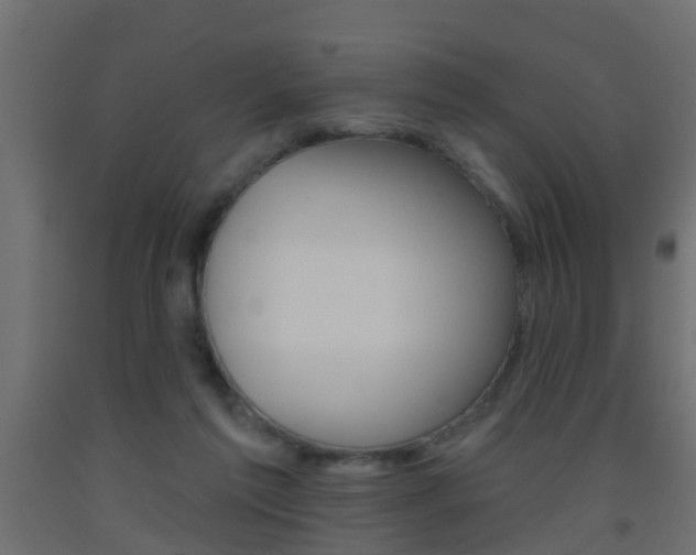 X0000093500213200710121050