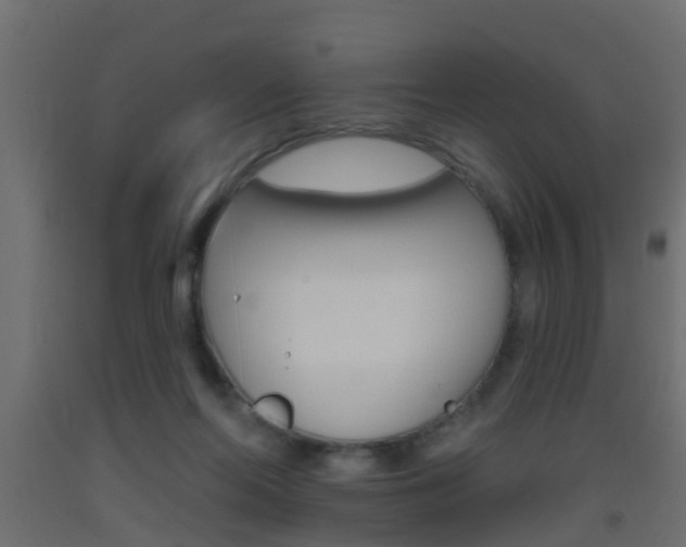 X0000093500214200710121050