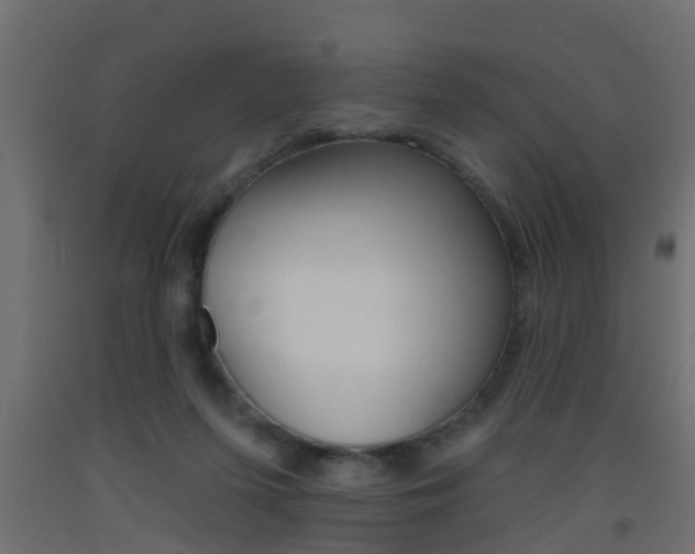 X0000093500215200710121050