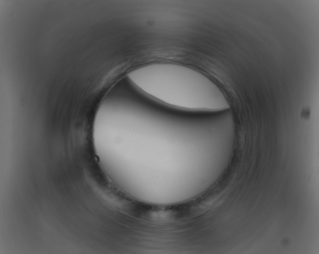 X0000093500216200710121050