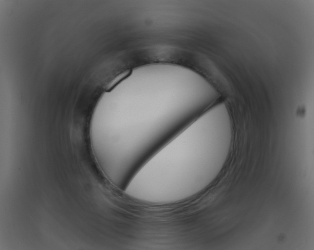 X0000093500217200710121050
