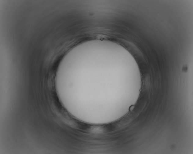 X0000093500218200710121050