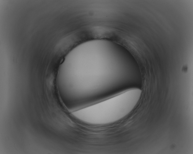 X0000093500219200710121050