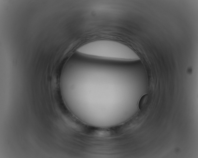 X0000093500220200710121050