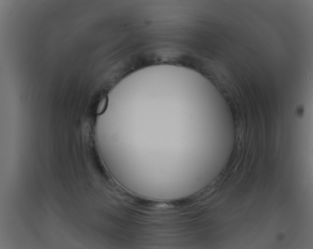 X0000093500222200710121050