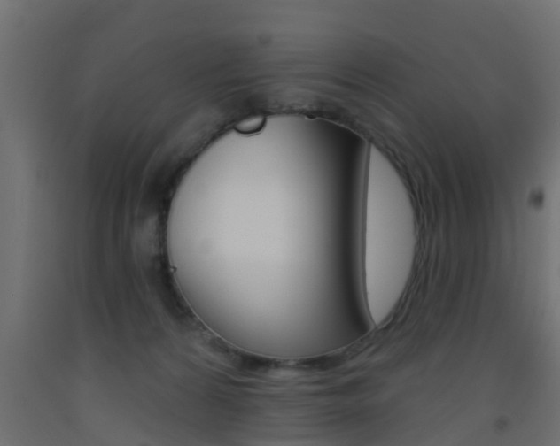X0000093500224200710121050