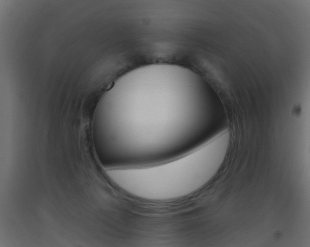 X0000093500225200710121050
