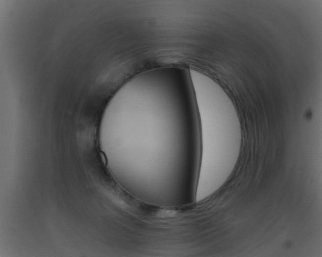 X0000093500227200710121050