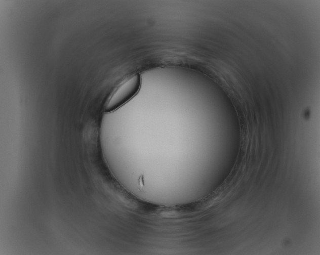 X0000093500228200710121050