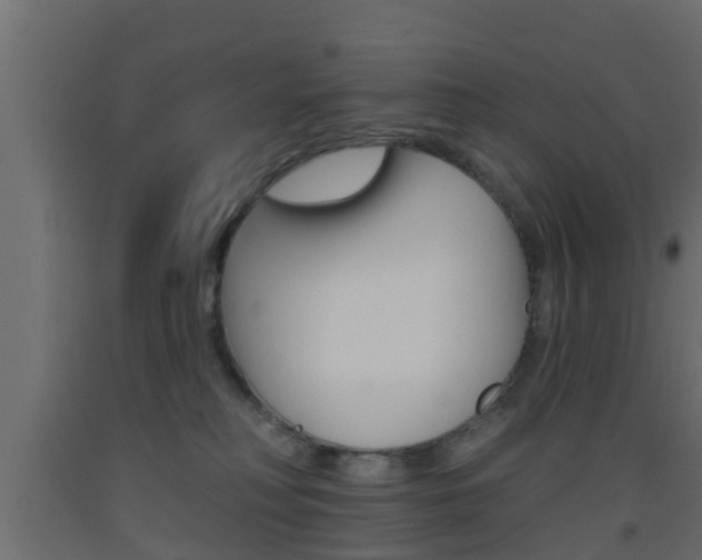 X0000093500230200710121050