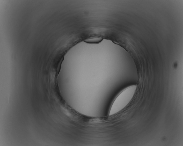 X0000093500231200710121050