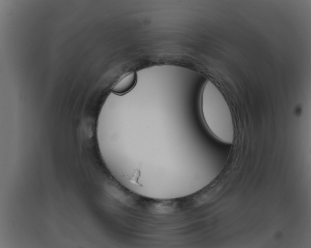 X0000093500232200710121050