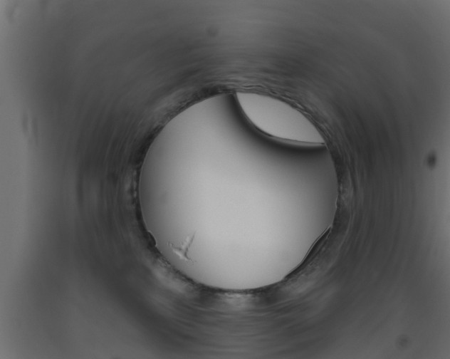 X0000093500233200710121049
