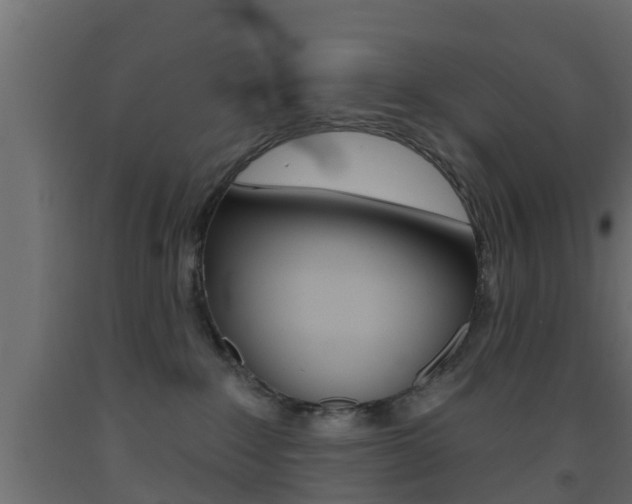X0000093500235200710121049
