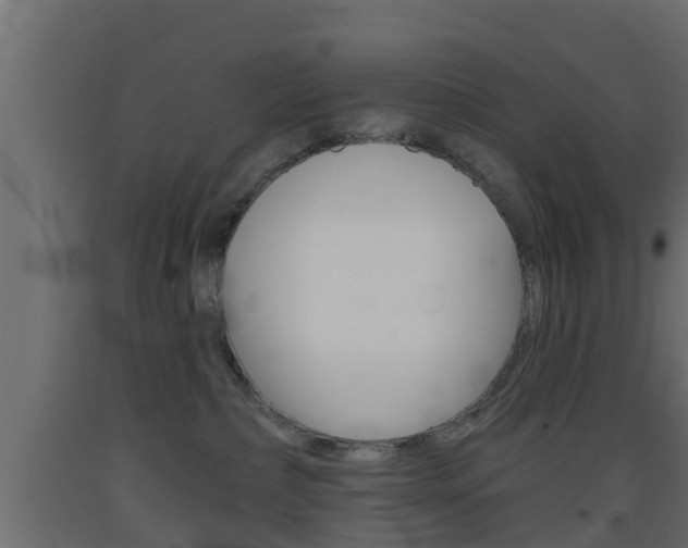 X0000093500236200710121049