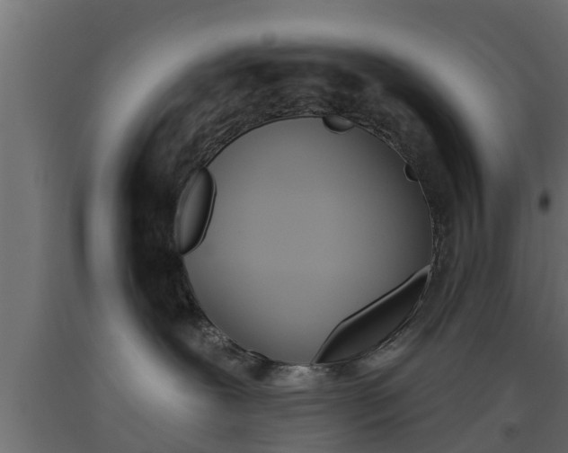 X0000093500239200710121049