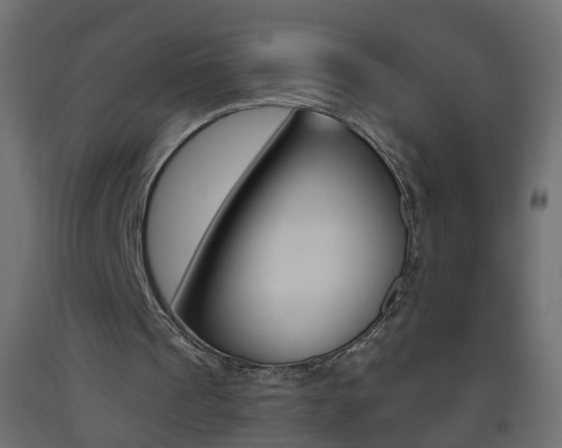 X0000093500241200710121049