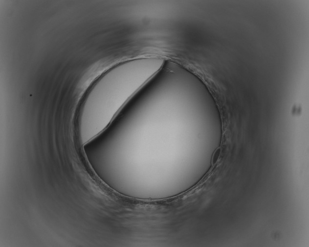 X0000093500242200710121049
