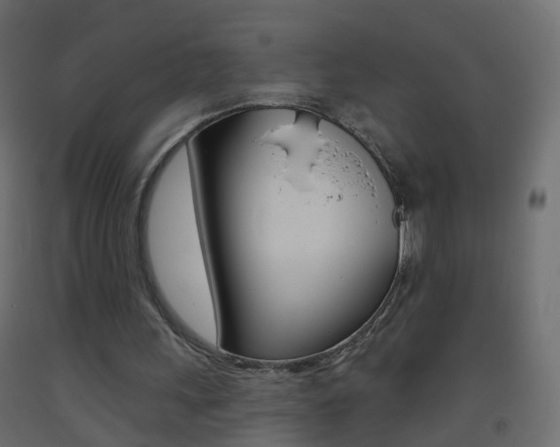 X0000093500243200710121049