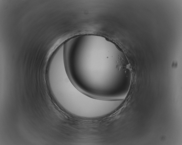 X0000093500244200710121049