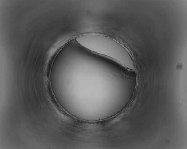 X0000093500245200710121049