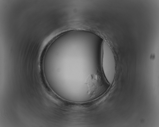 X0000093500246200710121049